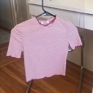 | ZARA | Striped Lettuce Crop